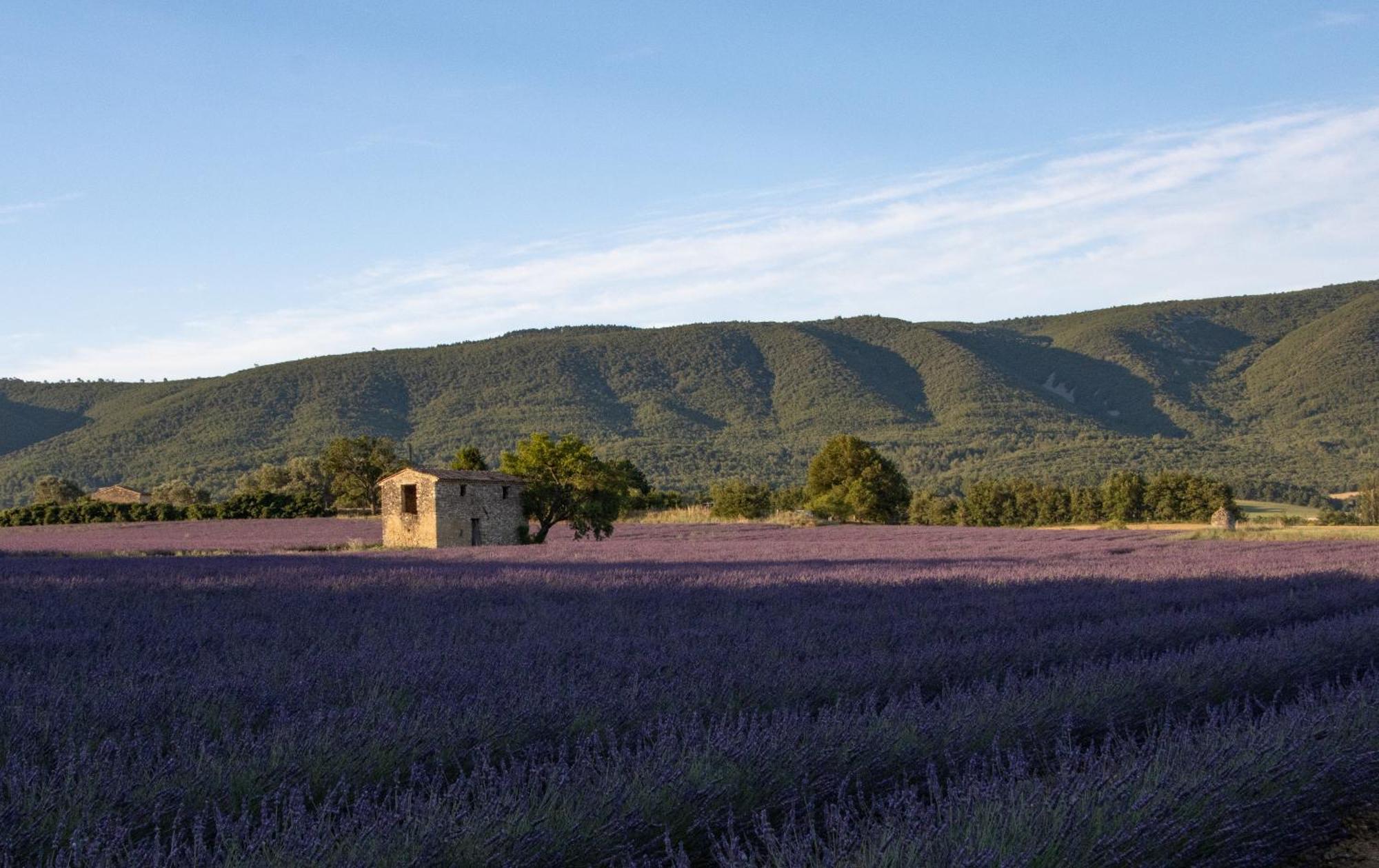 Studio Dans Le Luberon Cereste Luaran gambar