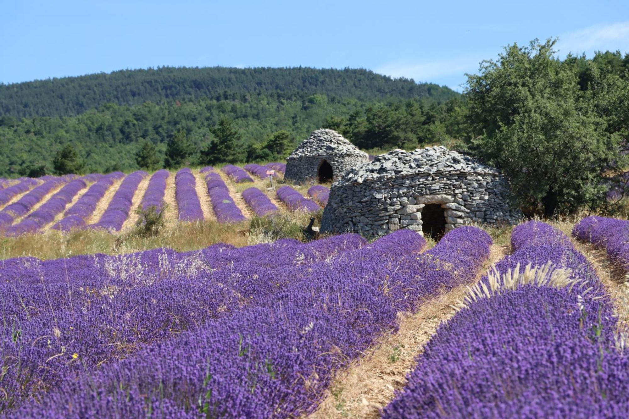 Studio Dans Le Luberon Cereste Luaran gambar