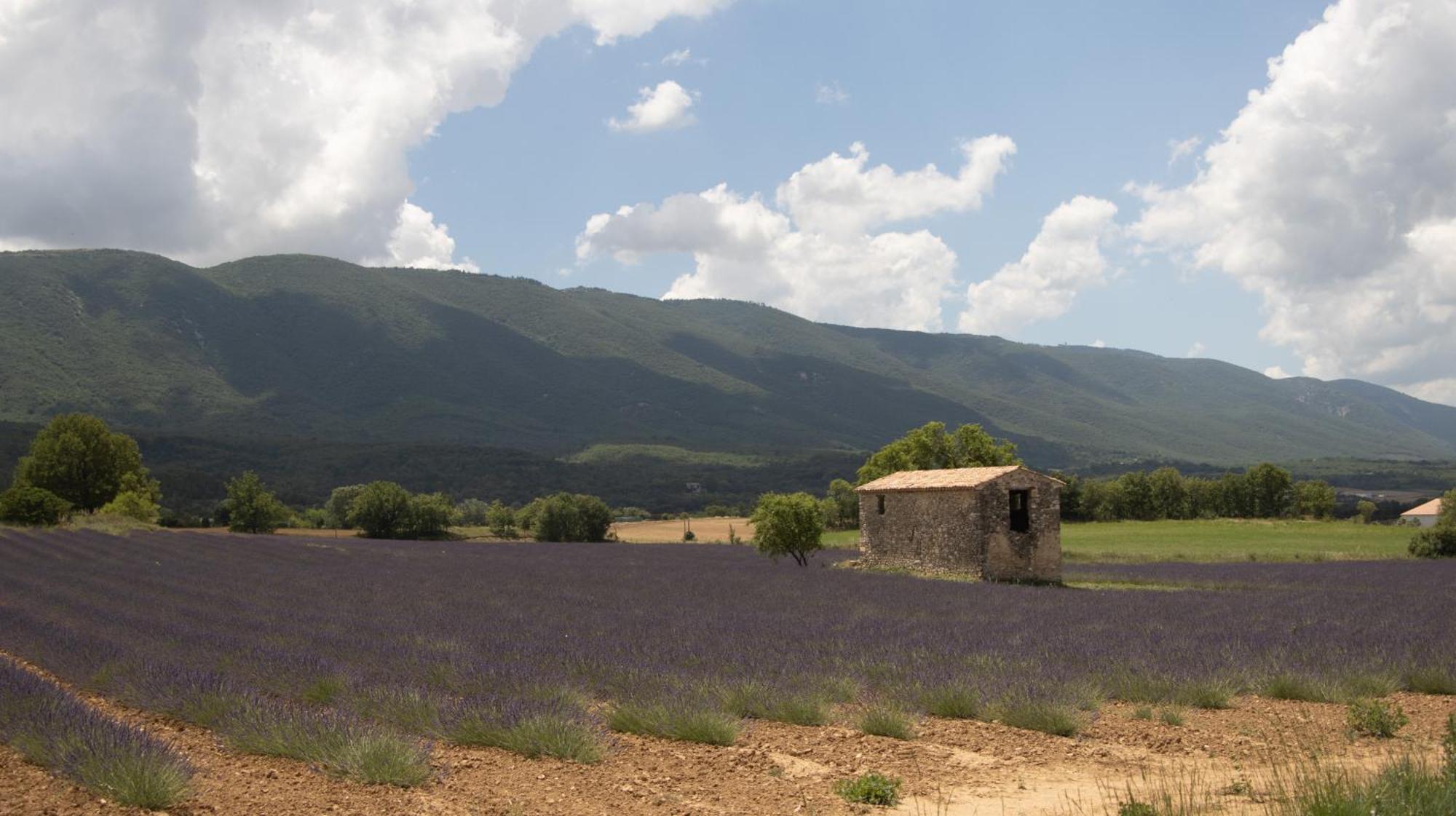 Studio Dans Le Luberon Cereste Luaran gambar